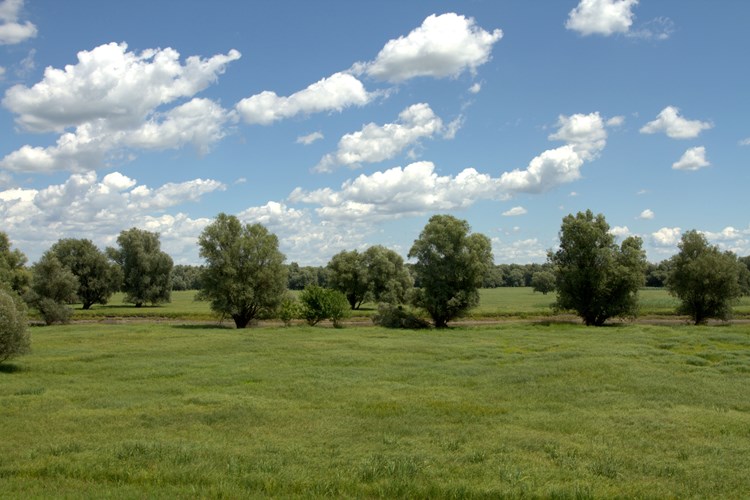 Slika /slike/HR_PRESS/Park prirode Kopački rit_Hrvoje Domazetović.jpg